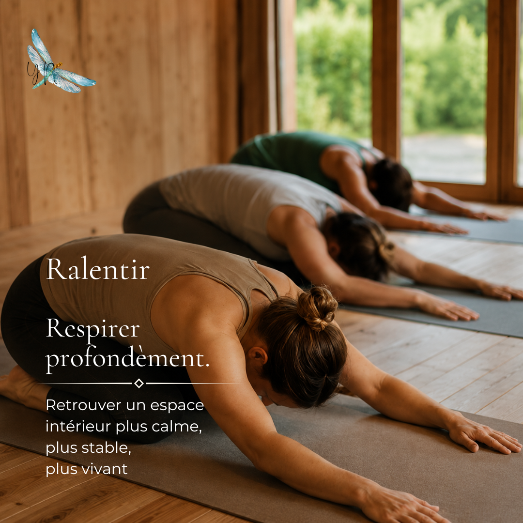 Expérience 3 du séjour Yoga Nature en Normandie
